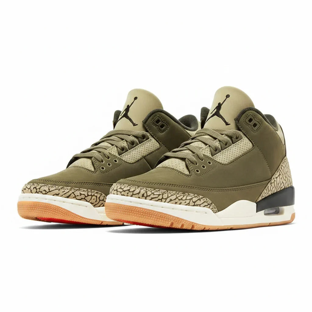 Air Jordan 3 Retro 'Family Affair' Sneakers