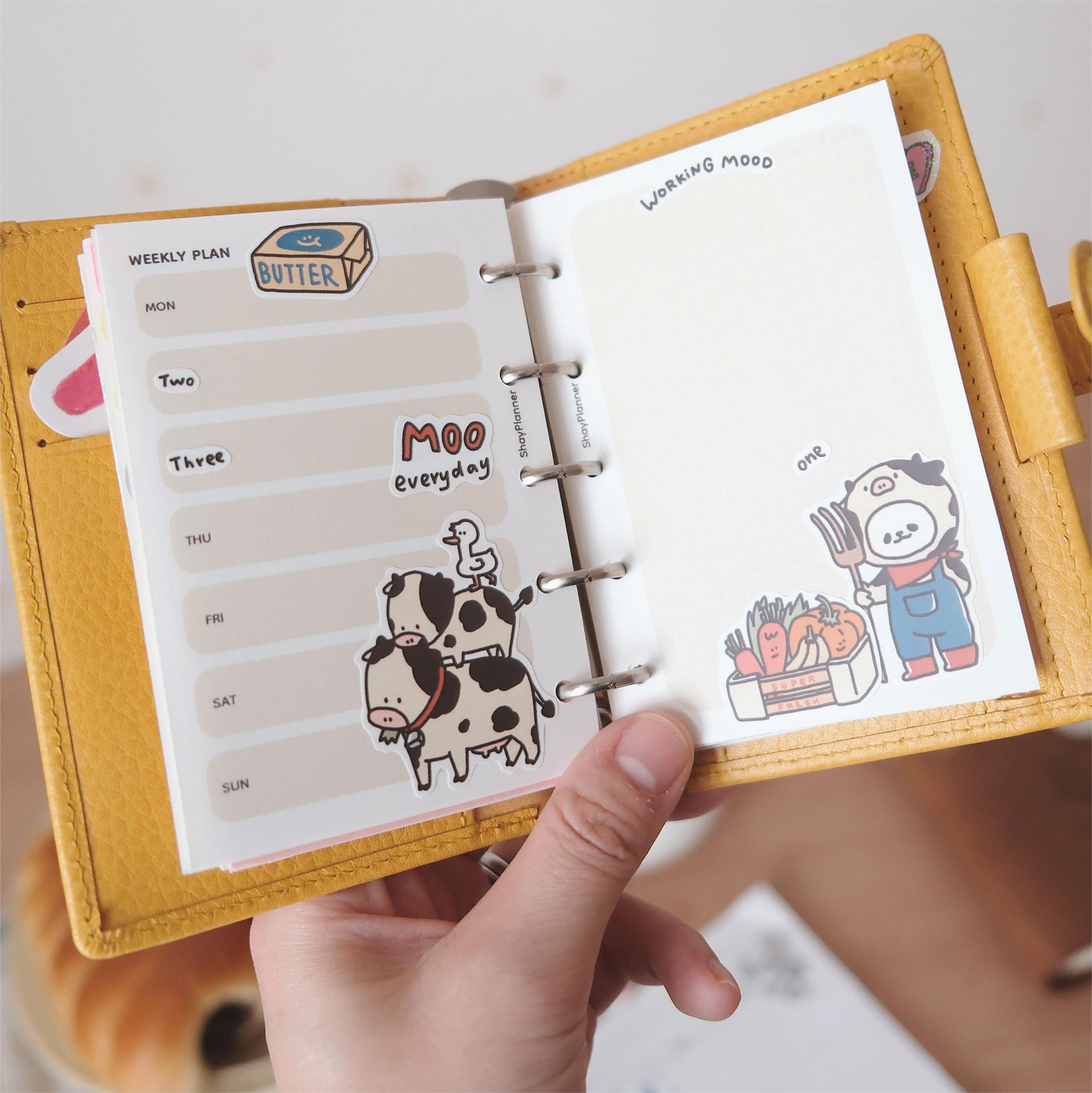 A Gator Life - Animal Sticker