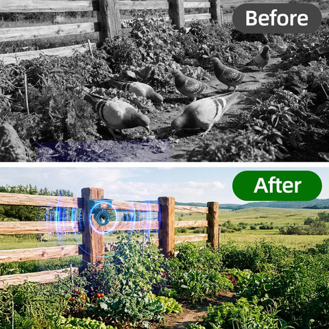 Automatic Outdoor Bird Scarer Solar Powered Repellent | Premium Quality