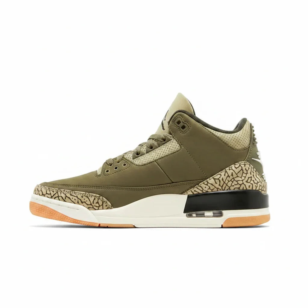 Air Jordan 3 Retro 'Family Affair' Sneakers