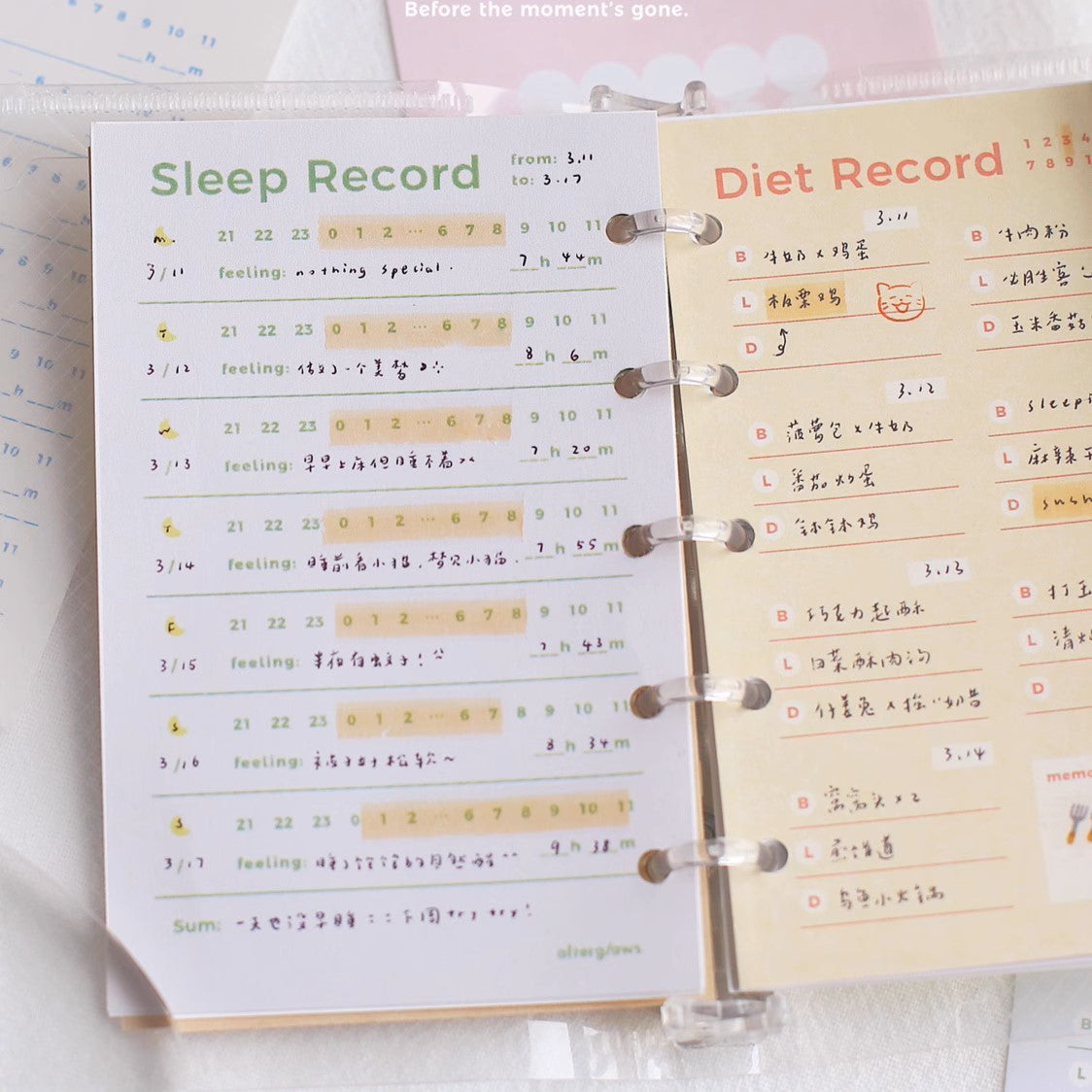 Afterglows - Food Record Memo Note Pad