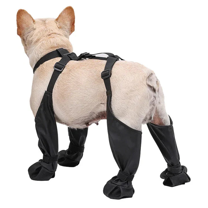 Dog Shoes | Adjustable Waterproof Pet Boots