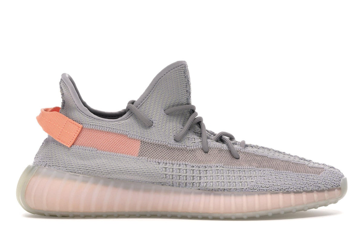 Yeezy Boost 350 V2 True Form Trainers