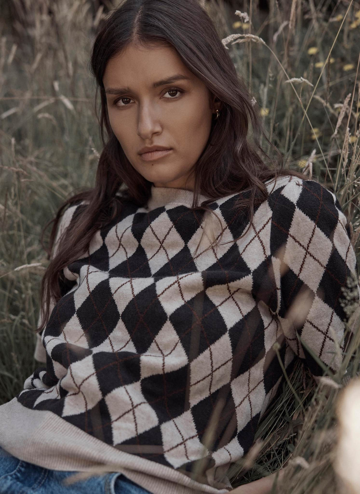 Neutral Argyle Knit Top in Cotton Blend