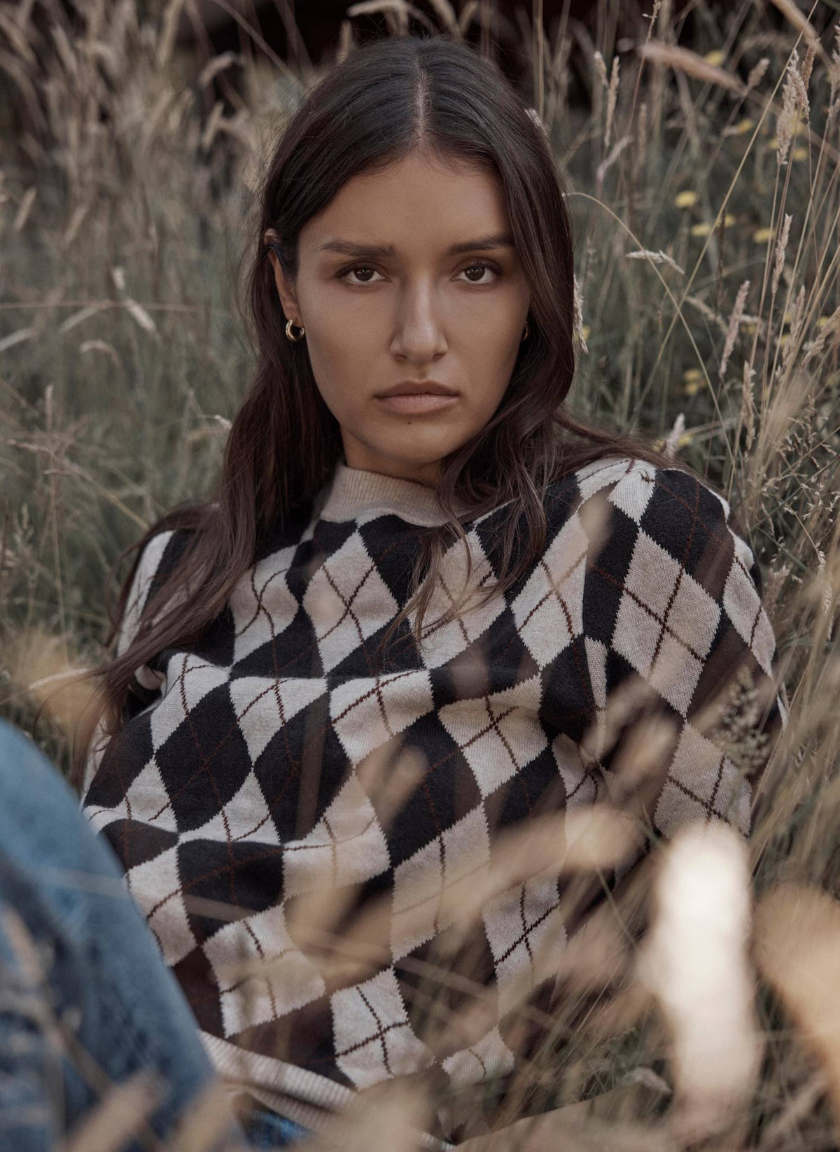 Neutral Argyle Knit Top in Cotton Blend